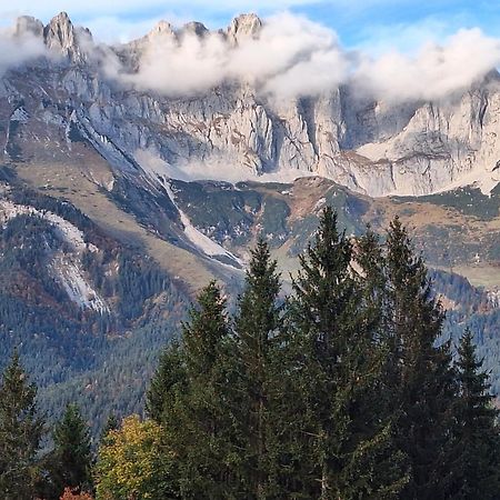 Apartment Unterhollenau Going am Wilden Kaiser المظهر الخارجي الصورة