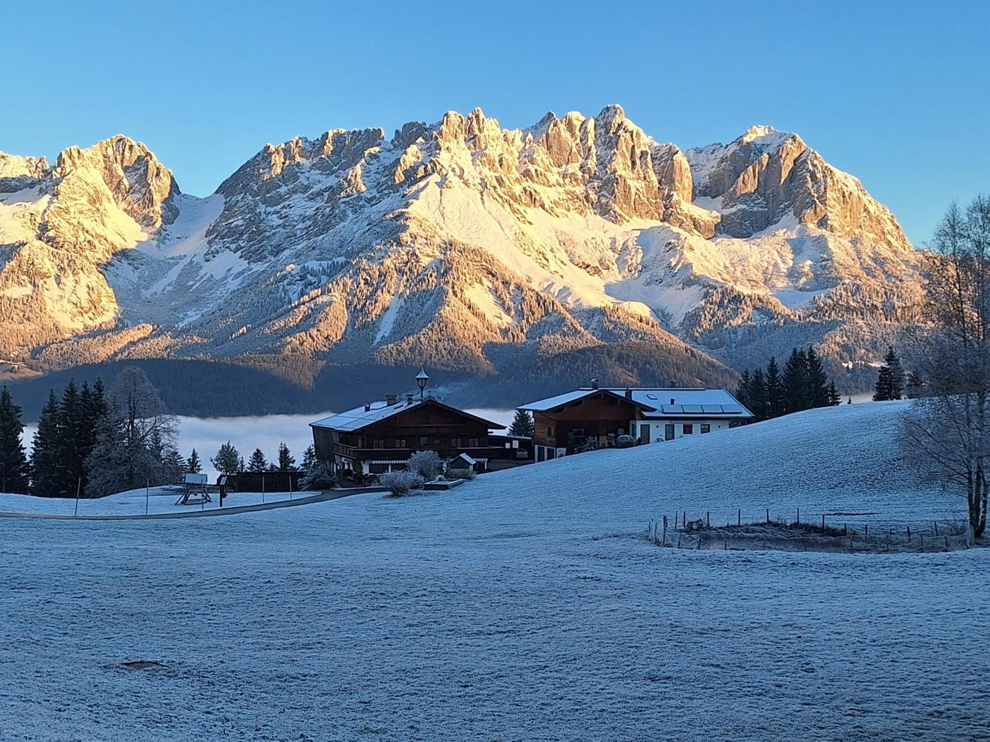 Apartment Unterhollenau Going am Wilden Kaiser المظهر الخارجي الصورة